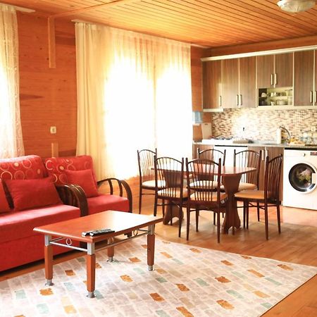 Villa Zafran Ayder Yaylasi Kültér fotó