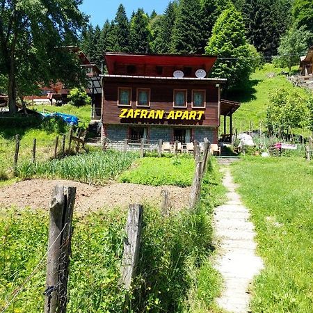 Villa Zafran Ayder Yaylasi Kültér fotó