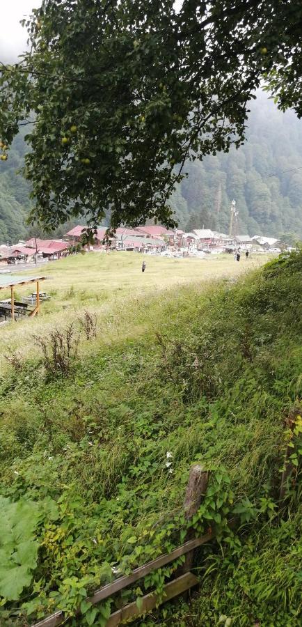 Villa Zafran Ayder Yaylasi Kültér fotó