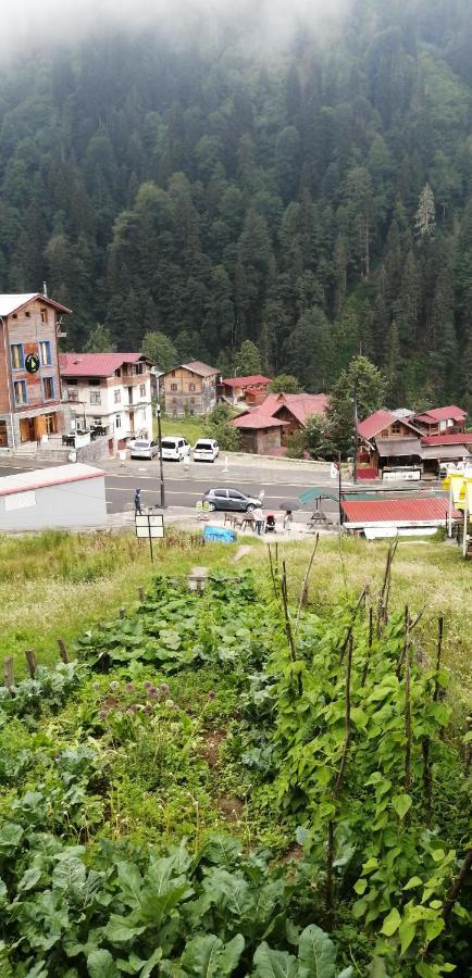 Villa Zafran Ayder Yaylasi Kültér fotó