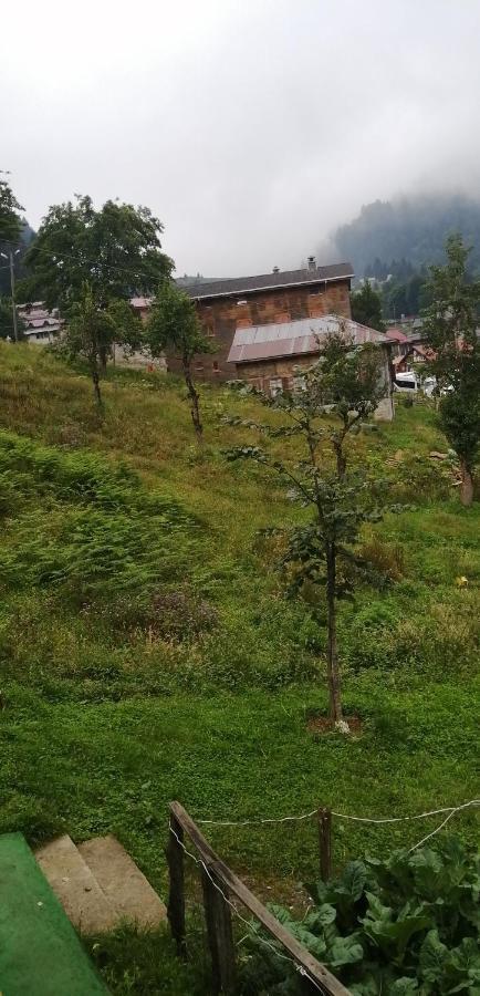 Villa Zafran Ayder Yaylasi Kültér fotó