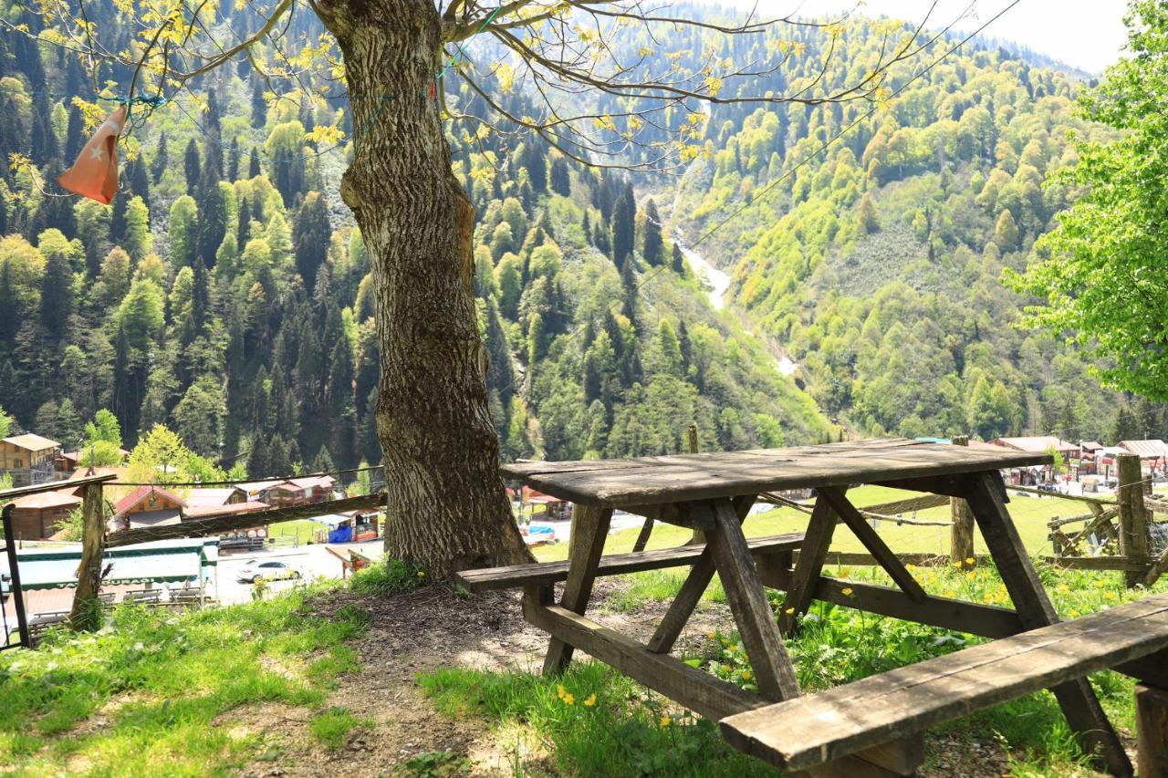 Villa Zafran Ayder Yaylasi Kültér fotó