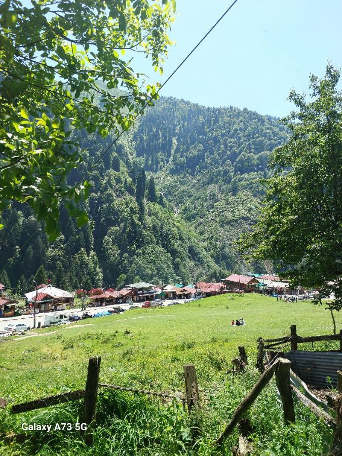 Villa Zafran Ayder Yaylasi Kültér fotó