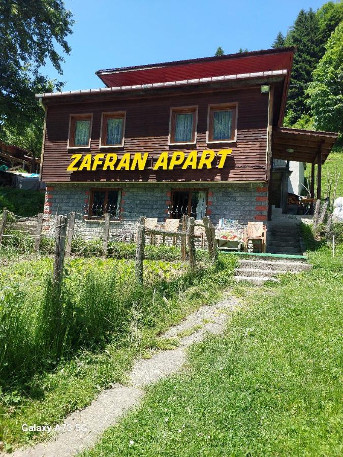 Villa Zafran Ayder Yaylasi Kültér fotó