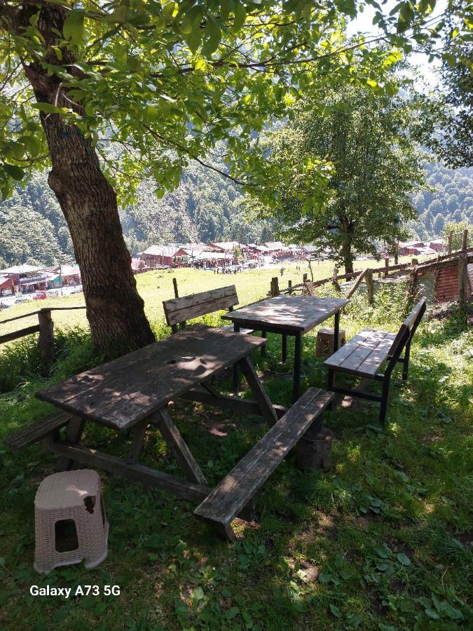 Villa Zafran Ayder Yaylasi Kültér fotó