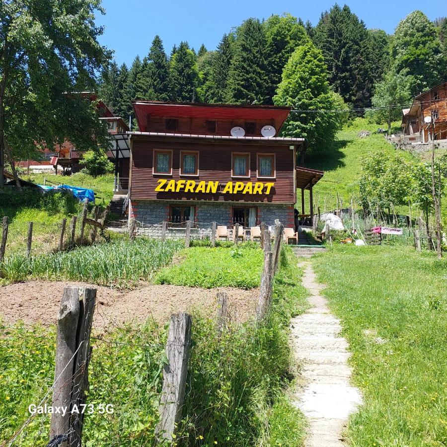 Villa Zafran Ayder Yaylasi Kültér fotó